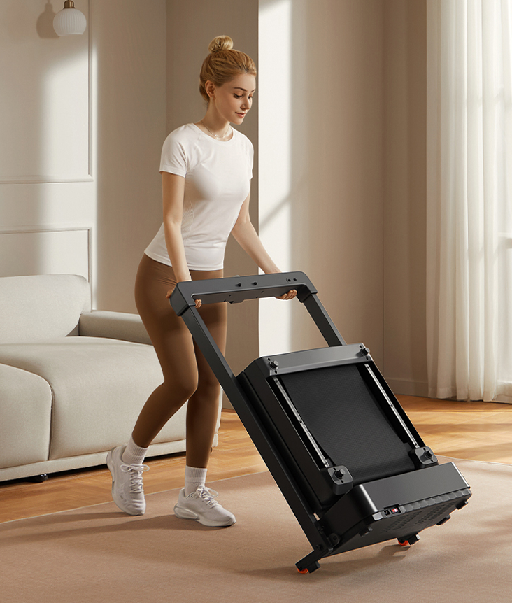 KingSmith WalkingPad MX8