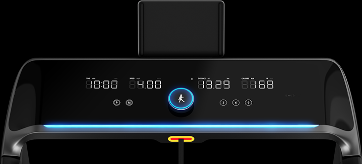 KingSmith WalkingPad X218