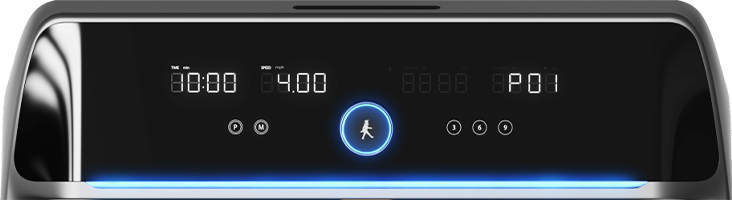 KingSmith WalkingPad X218