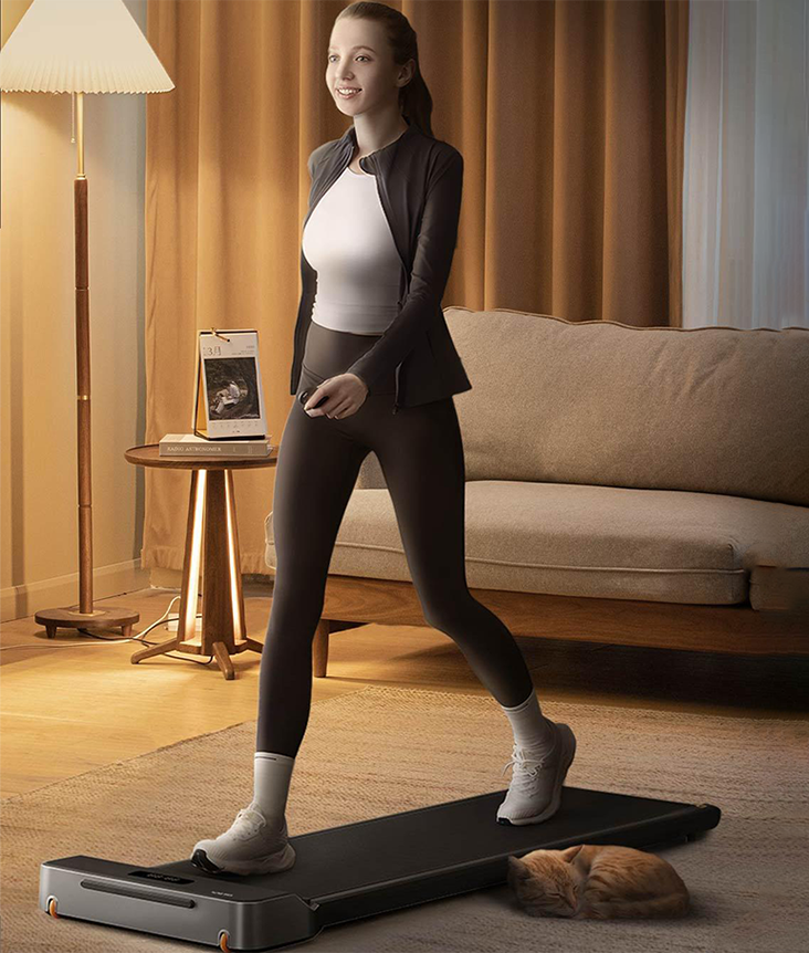 KingSmith WalkingPad Z1