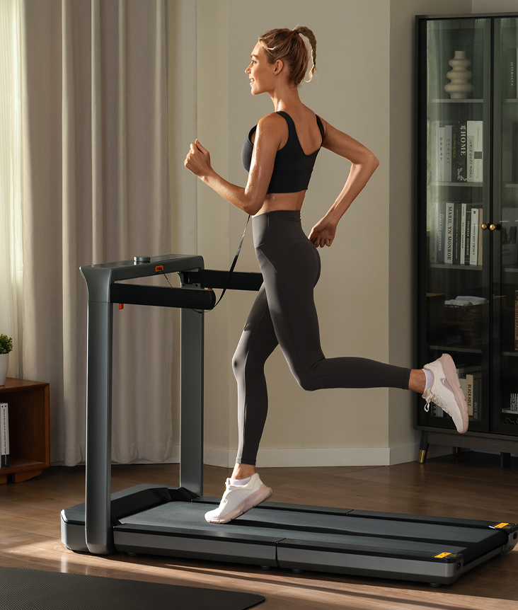 KingSmith WalkingPad MX16+